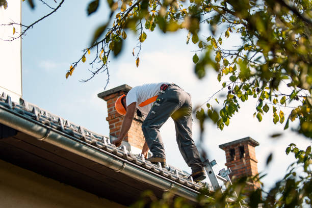 Roof Gutter Cleaning in Canyon, TX